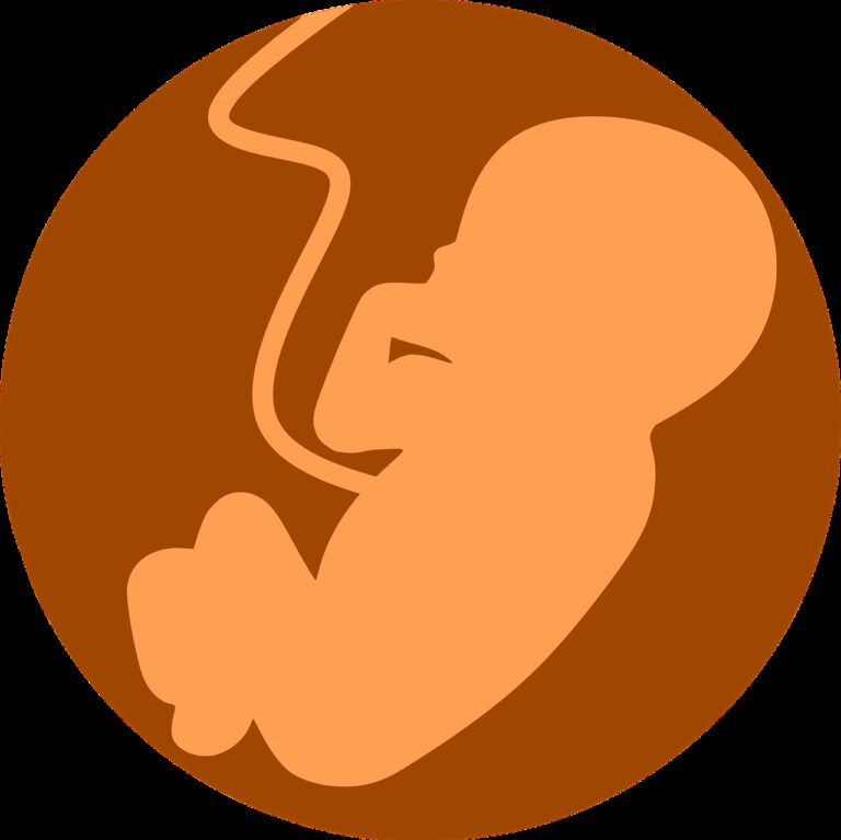 fetus, foetus, embryo